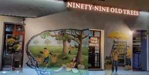 NINTY-NINE OLD TREES 未知艺术家的榴莲壁画。
