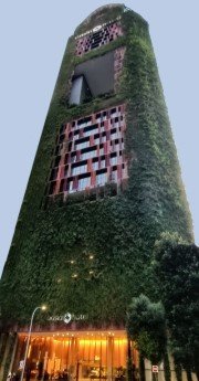 Oasia Hotel Downtown.