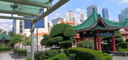 Mini garden on overhead bridge from Pagoda St to People's Park Complex.