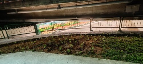 Underpass with a wall mural on your right.
