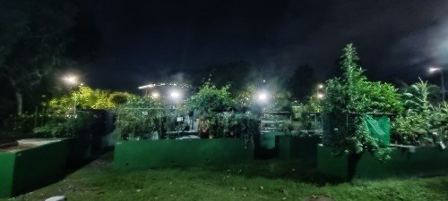 The Allotment Garden.