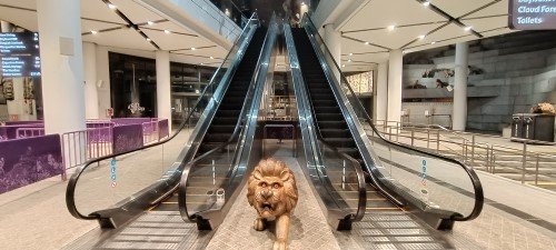 Lion guarding the escalators to the 2nd floor.