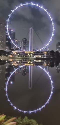 View of The Singapore Flyer from Gardens by the Bay.