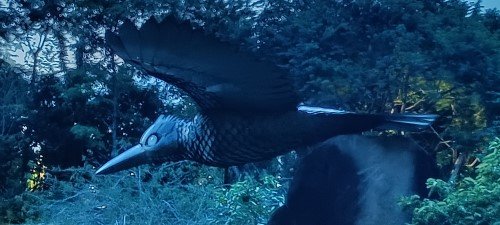 Trio of Kingfishers by Eng Siak Loy.