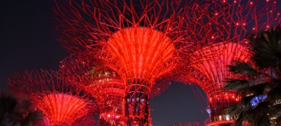 The Supertree Grove.