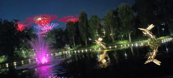 Dragonfly Riders by Dr Elsie Yu.