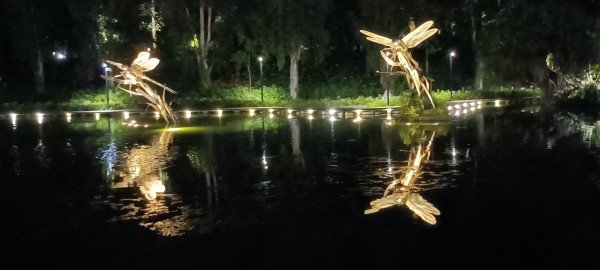 Dragonfly Riders by Dr Elsie Yu.