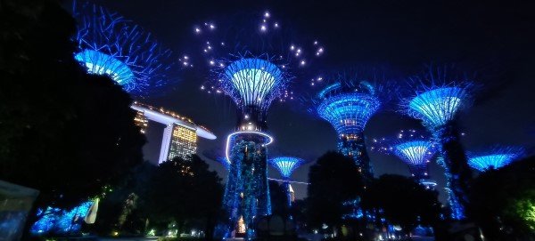 The Supertree Grove.