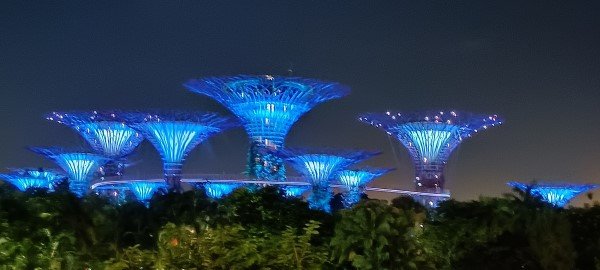 Enjoy the Supertrees from the top of the Bridge while walking back to Marina Bay Sands.