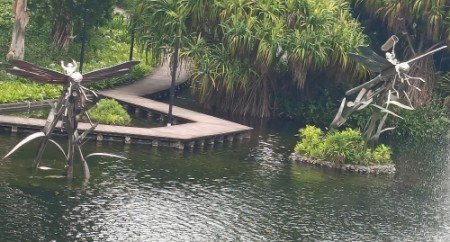 Dragonfly Riders by Dr Elsie Yu.