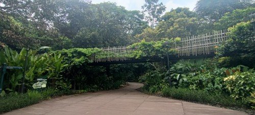 雅各布巴拉斯儿童花园的高架桥。