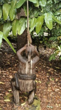 Squirrel showing us what blowpipes are actually for at the Ethnobotany Garden.