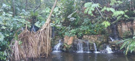 纳西姆门的瀑布。