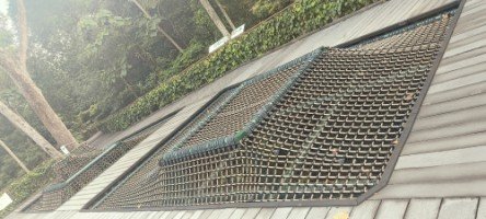 The Canopy Web for your crawling and photography pleasure at the SPH Walk of Giants.