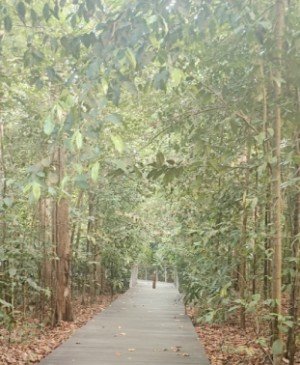 Walk the path of the brave towards your challenge.