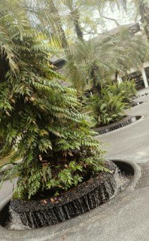 纳西姆门游客中心的迷你瀑布。