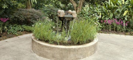 Mini Waterfall with flowers in The National Orchid Garden.