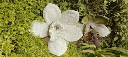 Two Orchids with Bee Sculptures by Unknown Sculptor in The National Orchid Garden.