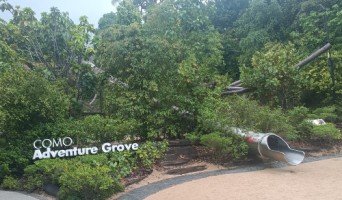 The Como Adventure Grove.