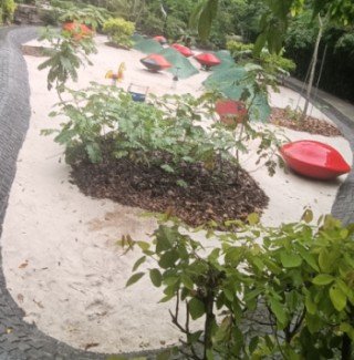 The Playground with seedlike seesaws at the Como Adventure Grove.