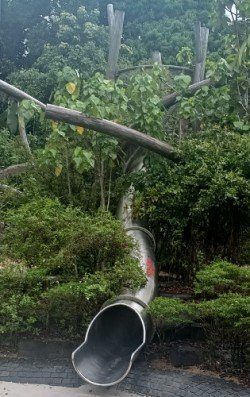 The Slide at the Como Adventure Grove.