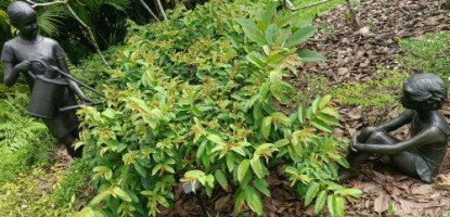 Nurturing by Vanessa Marston.