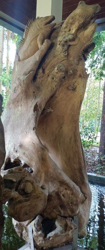 Beautiful sculptures made from tree roots and stumps by Unknown Sculptors.