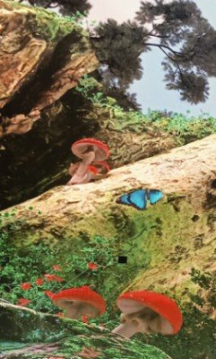 Artificial Sky at B1 ION Orchard.