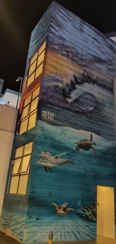 Mural 07/101 Perfect Waves by Hilton Alves at Beach Station.