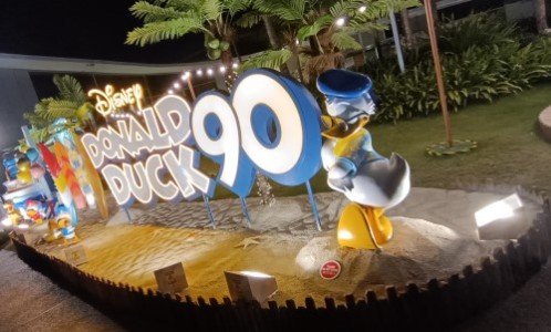 SURF'S UP, FEATHERS DOWN.