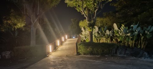 花柏甲板的入口。