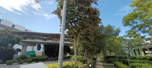 Cross the Overhead Bridge to VivoCity Mall.