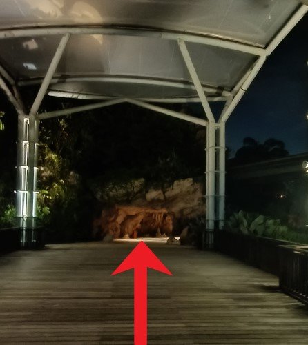 走进有遮蔽的行人通道,穿过洞穴,探索并欣赏美景。