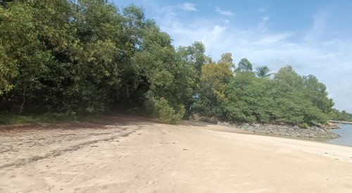 Walk towards the forested area beside the rocks and the water where Reef the Chief is hiding.