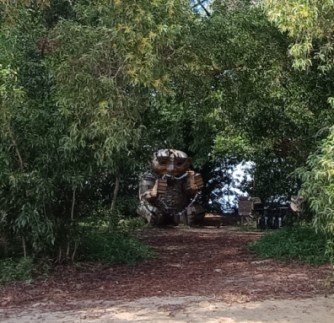The forested area that is near the rocks and the sea.