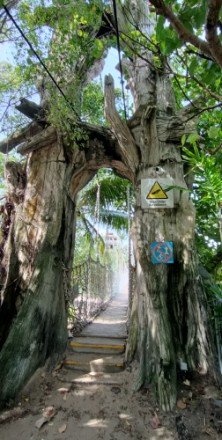 The Hanging Bridge of the Southernmost Point of Continental Asia.