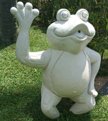 Frog near to the swimming pool.