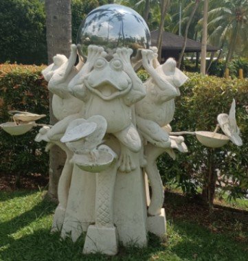 Frogs near to the swimming pool.