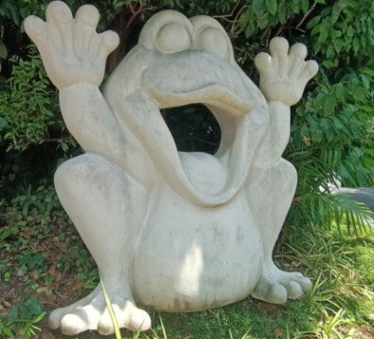 Frog near to the entrance to Shangri-La Rasa Sentosa.