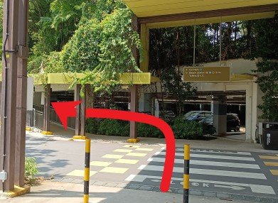 Turn left, cross the zebra crossing, turn left and go up the sheltered walkway.