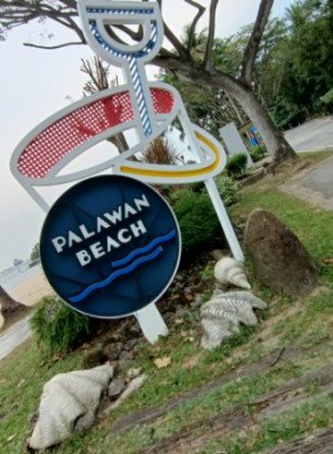 The Palawan Beach Sign along with seashells.