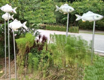 Fishes at Palawan Beach.