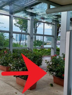 Continue on the sheltered Sentosa Broadwalk by keeping to the right, to walk towards the right side of VivoCity.