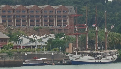 View of the Royal Albatross, Southern Albatross and Sentosa.