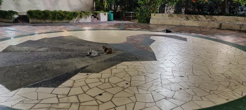 Seng Poh Garden and its Dancing Girls.
