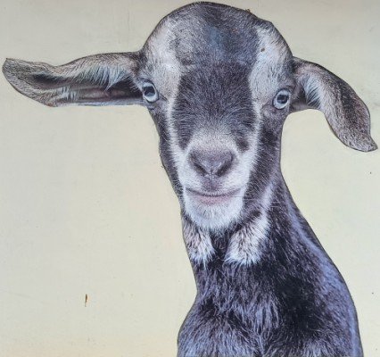 Goat One by Ernest Goh is located beside the carpark and facing Blk 71 at Seng Poh Rd.