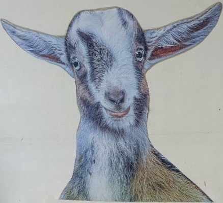 Goat Three by Ernest Goh is located at the side of the market facing the side of Blk 33 Lim Liak St.