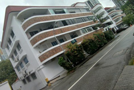 Blk 78 Guan Chuan Street: the horseshoe block.