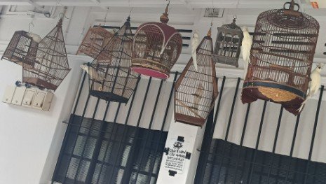 The Bird Cages by Unknown Artist at Blk 75 Tiong Poh Rd.